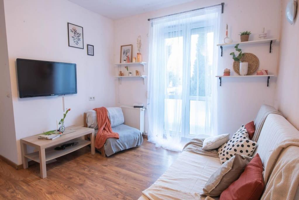 Home Studio Z Ogrodkiem I Altana Krakkó Kültér fotó